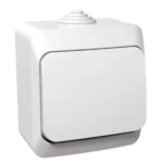 WDE000511 - Cedar Plus, Intrerupator cu revenire 16A PT IP44 alb
